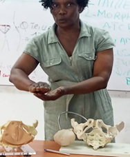 Journée Scientifique  - JISF Abengourou 2025